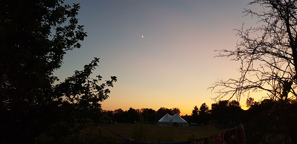 Gallery Image 163