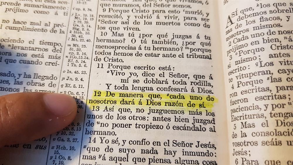 Romanos 14 versiculo 12