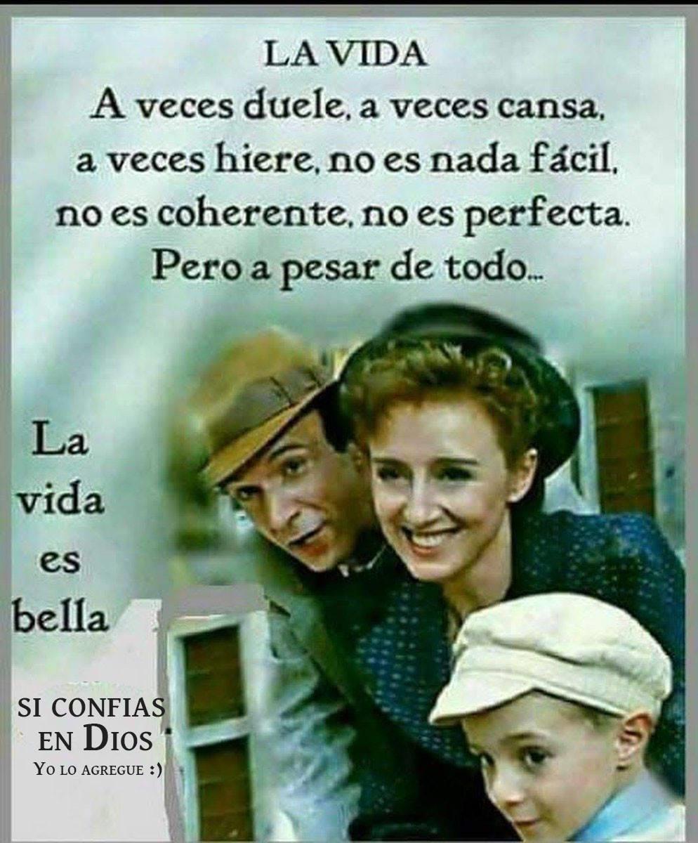 Hoy se me vino a la mente y al corazón la frase "la vida es bella" - Today it came to my mind and my heart the phrase: "life is beautiful"